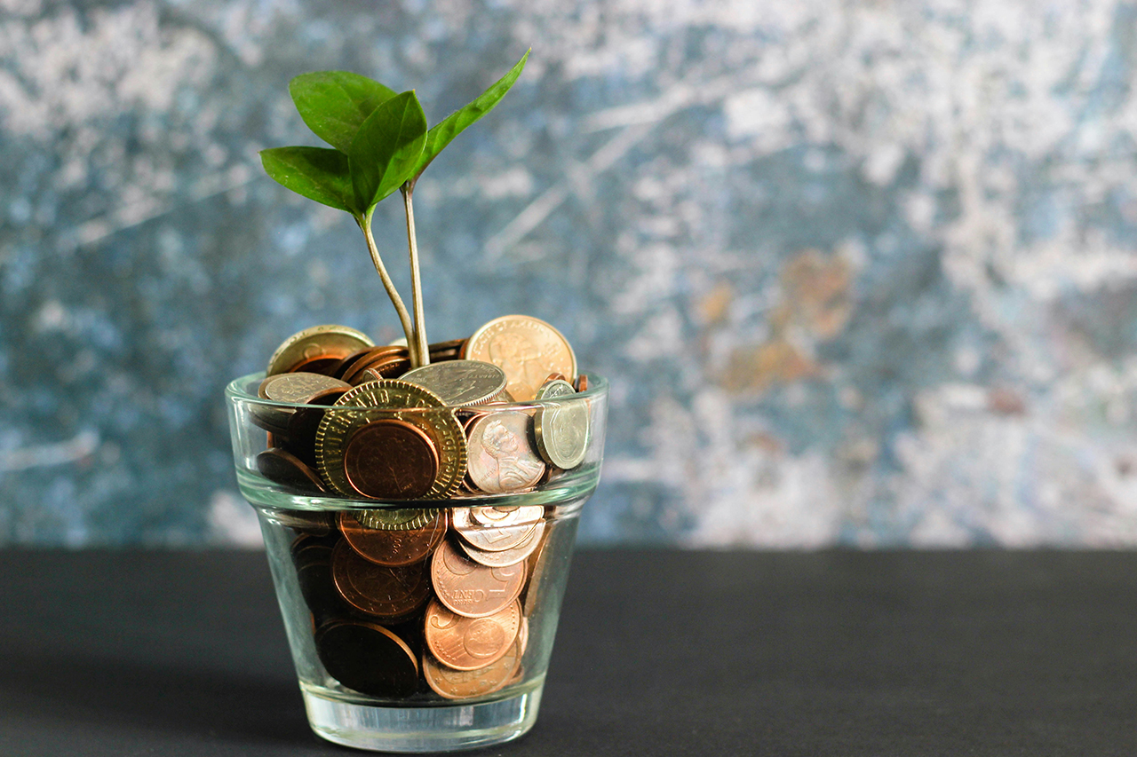 jar of coins with a tree growing out of it